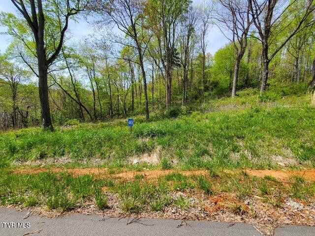 1st photo of Tr 40 Cowan Town Road
