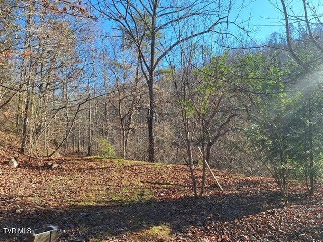 1st photo of 289a Early Branch Road