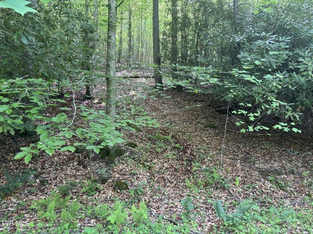 1st photo of Lot 6b Of Roan Creek Road