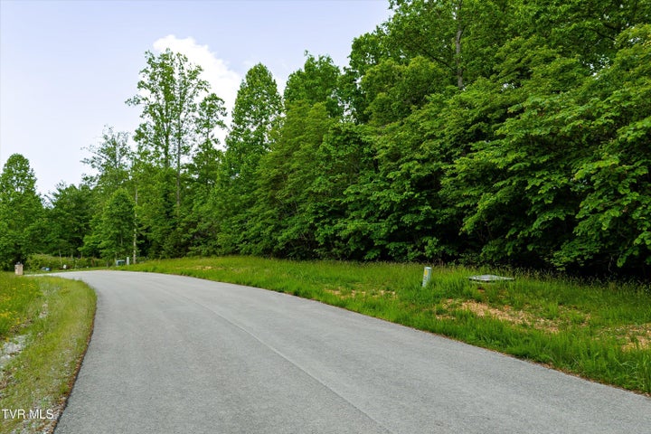 1st photo of Lot 240 Tanzanite Trail