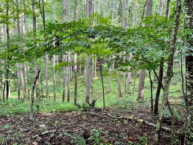 1st photo of 337 Heaton Creek Road