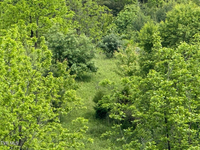 1st photo of Tbd Johnson Hollow Road