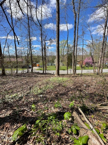 1st photo of Tbd Kings Bay Drive
