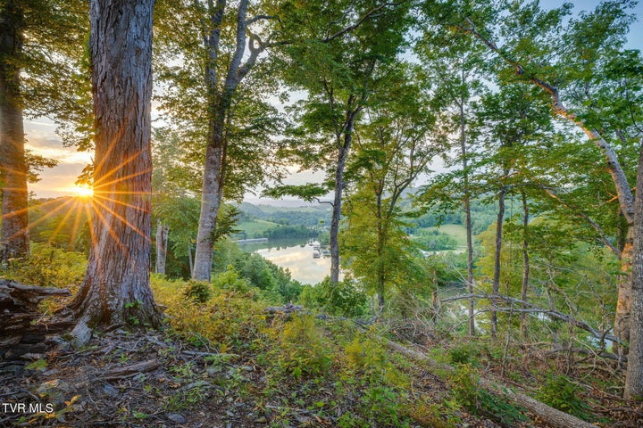 1st photo of Lot 24 Cowan Town Road