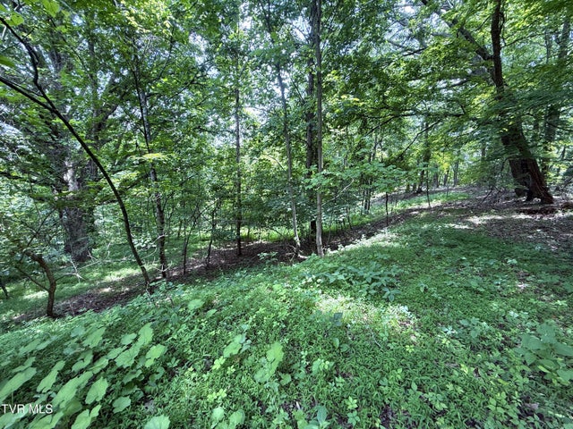 1st photo of 5.74 Acres Bailey Cemetery Road