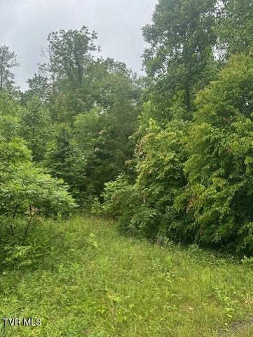 1st photo of Tbd Laurel Lane
