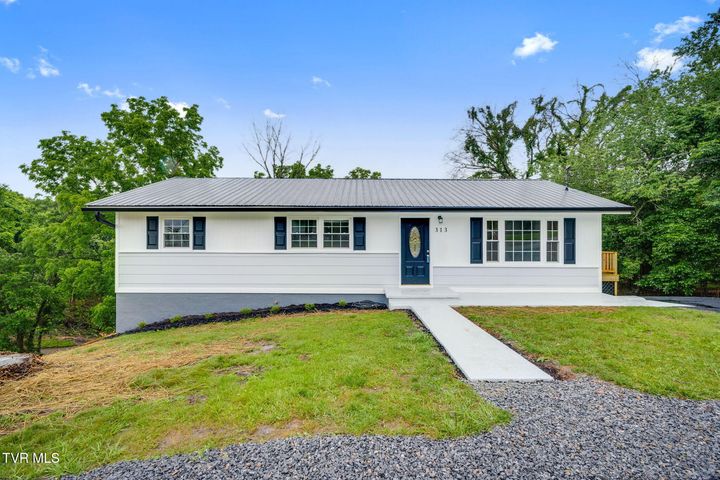 1st photo of 313 Morelock Street