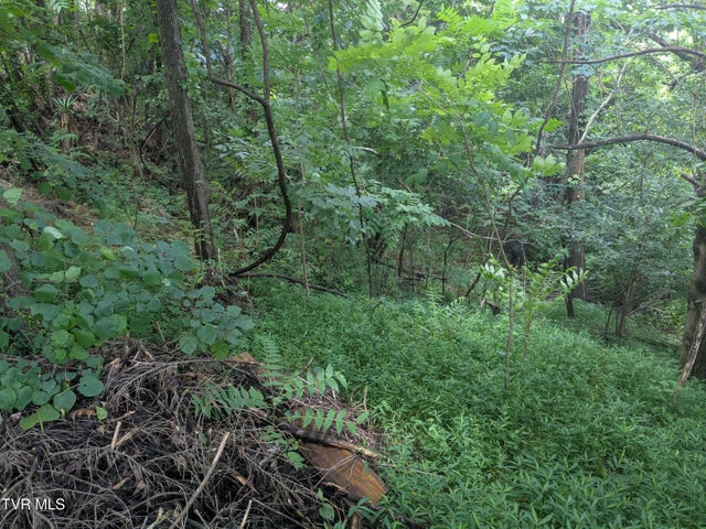 1st photo of 248 Bayberry Drive