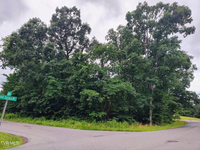 1st photo of Lot 16 Easley Drive