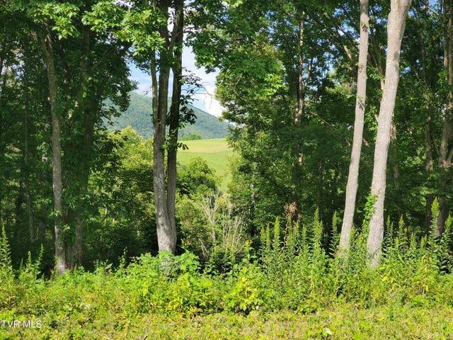 1st photo of Lot 36 West Of Dry Hill