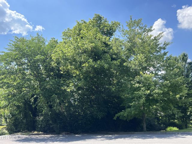 1st photo of Lot 21 Ledges Drive