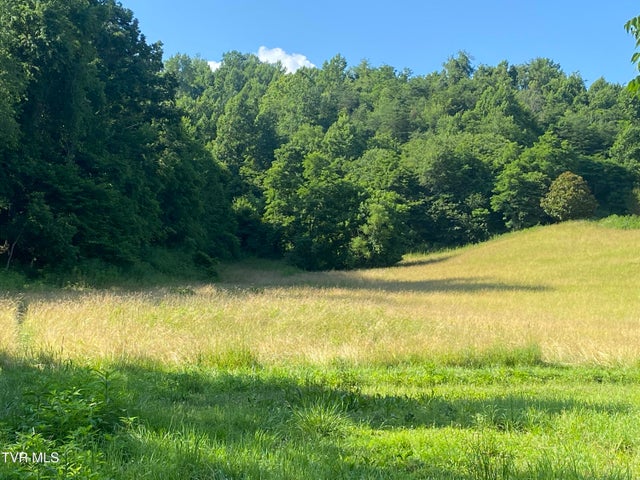 1st photo of 0 Rich Valley (9.23 Ac) Road