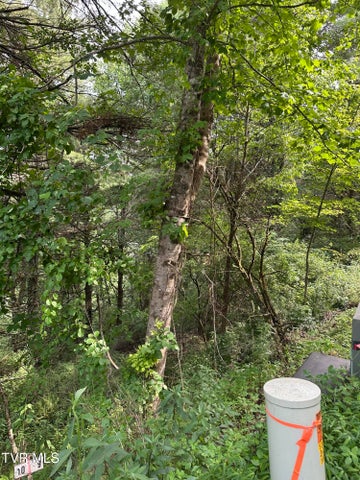 1st photo of Lot 9 Laurelwood Lane