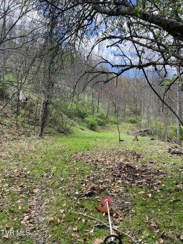 1st photo of Tbd Crabtree Hollow