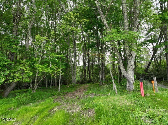 1st photo of 1776 Ripshin Mountain Road