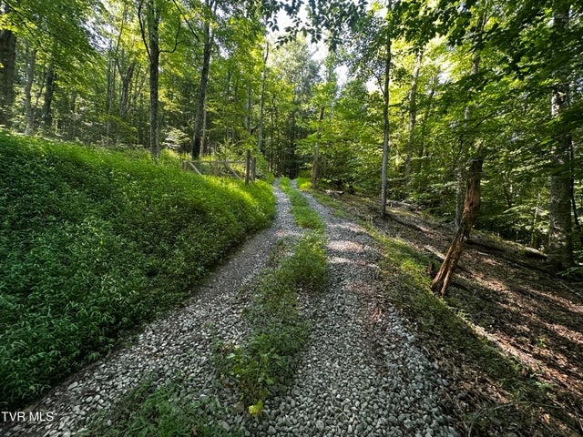 1st photo of Tbd Clinch Mountain Road
