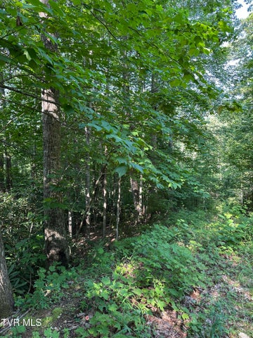 1st photo of 1501 Sprucy Ridge Private Road