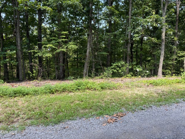 1st photo of Lot 36 Pecan Tree Lane