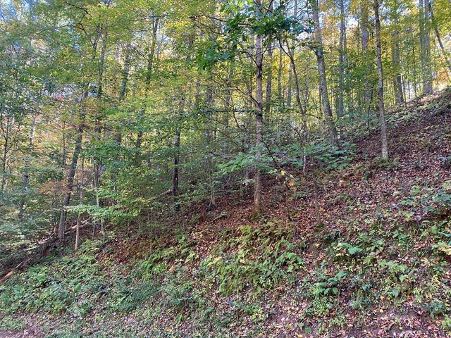 1st photo of 175 Canaan Road