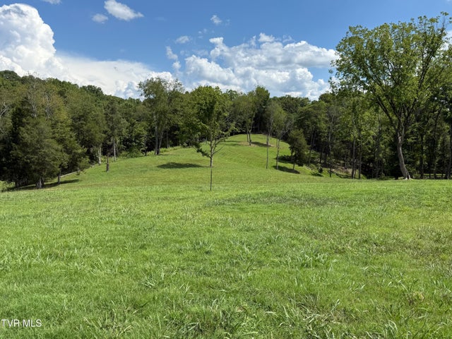 1st photo of 2246 Turkey Ridge Lane Drive