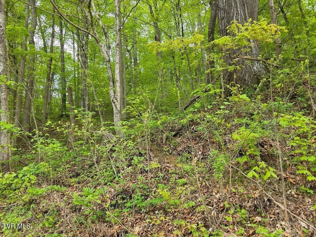 1st photo of Tbd Garrison Hollow