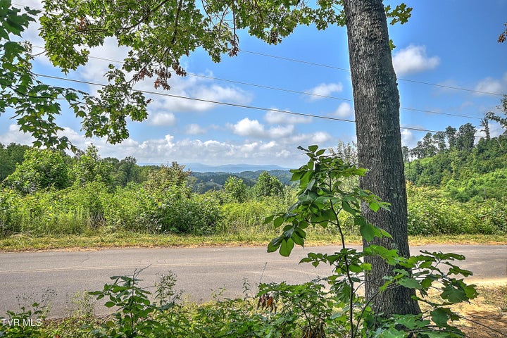 1st photo of Tract 1l Payne Ridge Road