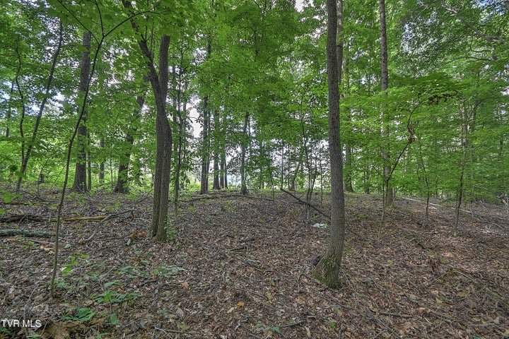 1st photo of Tract  2r Payne Ridge Road
