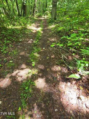 1st photo of Tbd Dry Branch Road