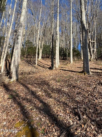 1st photo of 6020 Forge Creek Road