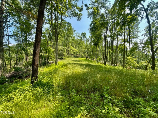 1st photo of 99/Ac Tbd Nw Of Copperhead Hollow Road
