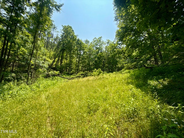 1st photo of 99/Ac Tbd Nw Of Copperhead Hollow Road