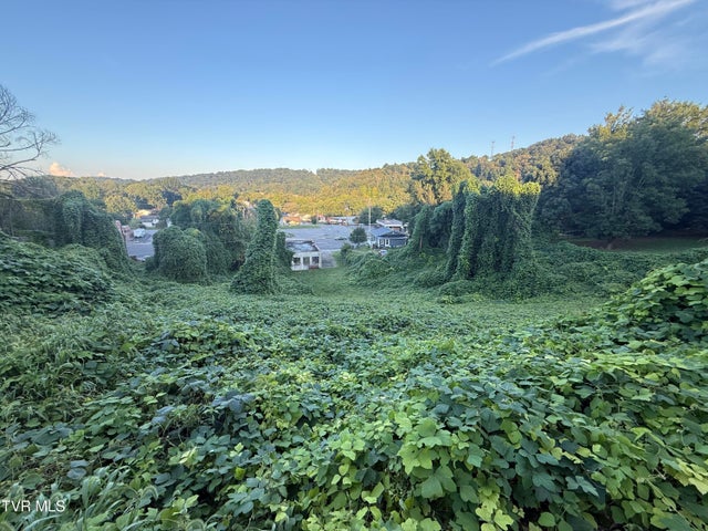 1st photo of Lot 16 Birdwell 