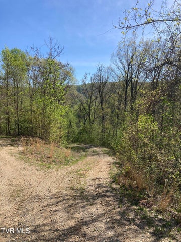 1st photo of Tbd Tulip Poplar Trail Extension