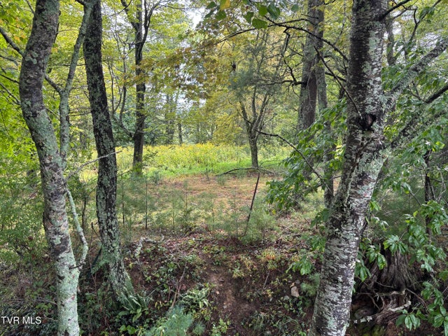 1st photo of Lot 3 Locust Gap Road