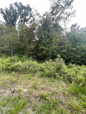 1st photo of 0 Mary Patton Highway