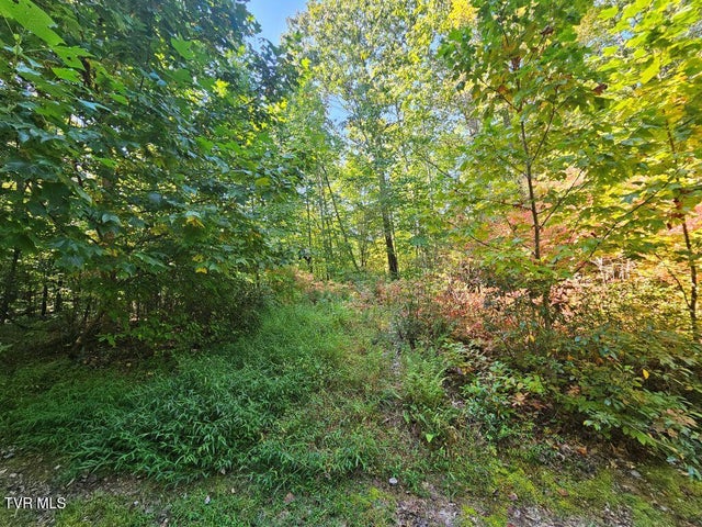 1st photo of Lot 17 Fox Hollow Drive