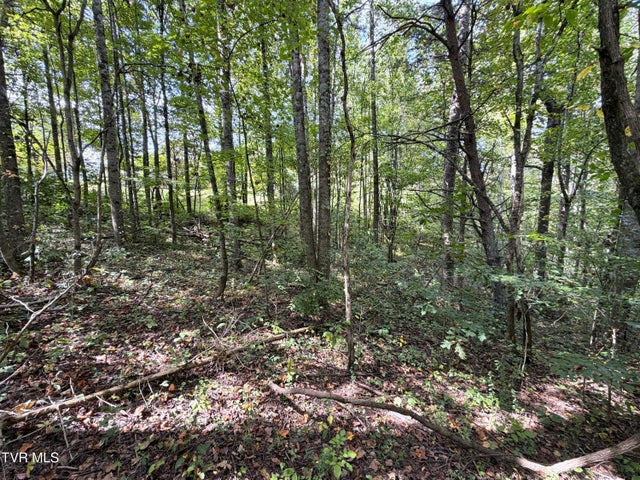 1st photo of Lot 25 East Drive