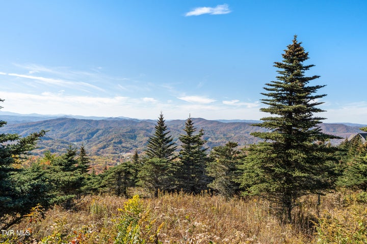 1st photo of V6 Sun Shine Nvno 