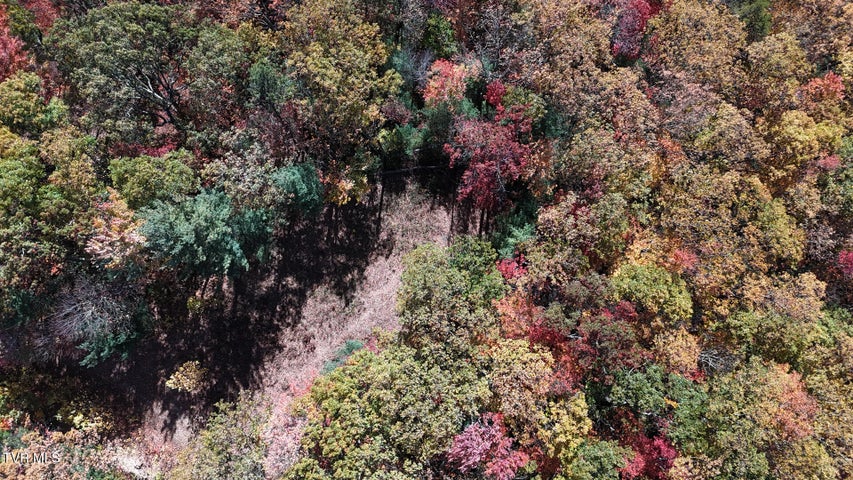 1st photo of 1205 Mays Ridge Road