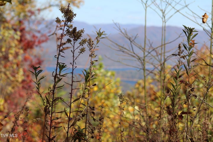 1st photo of 48 Locust Lane