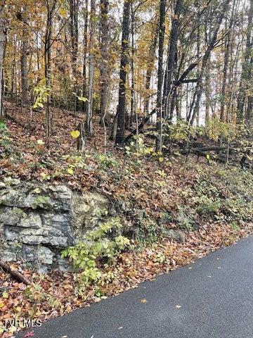 1st photo of Tbd Lloyds Chapel Road