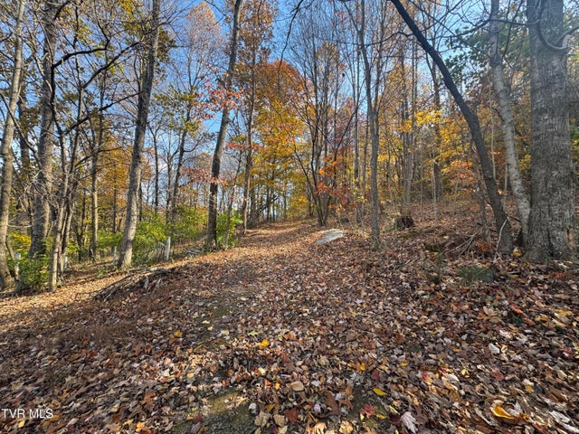 1st photo of 119 Rhododendron Lane