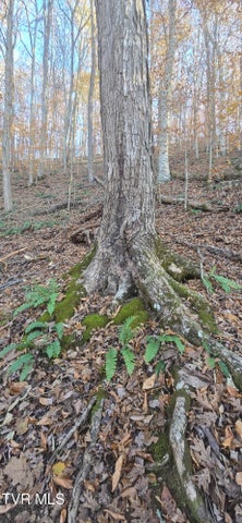 1st photo of 2351 Line Road