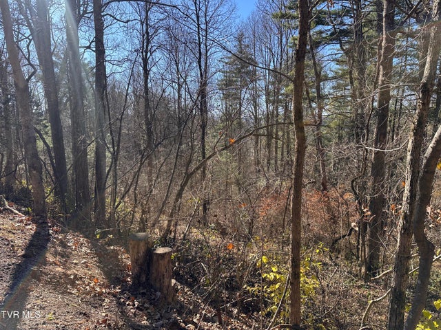 1st photo of Tbd Longview Drive