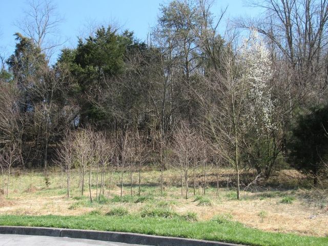 1st photo of Lot 3 Lockport Circle