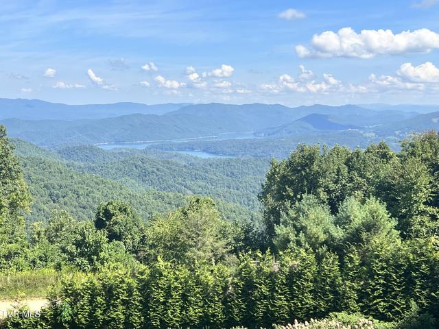 1st photo of Tbd Tulip Poplar Trail Extension 
