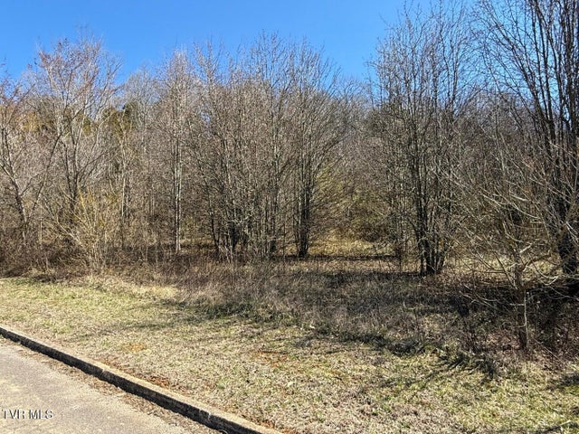1st photo of Lot 62 Secluded River Circle 