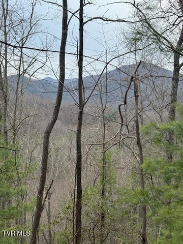 1st photo of Tbd Ray Kegley Road