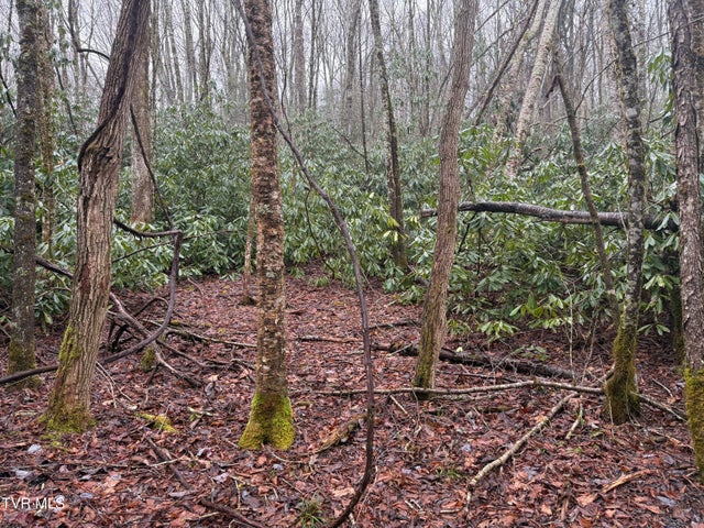 1st photo of Tbd Stocton Road