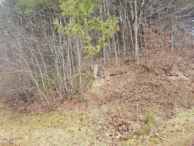 1st photo of 10402 Right Fork Road